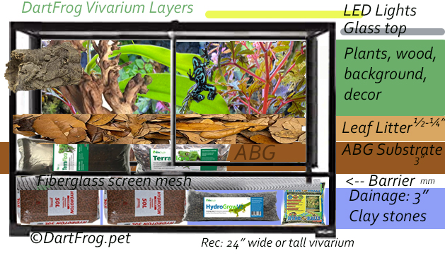 Dart Frog Vivarium Setup